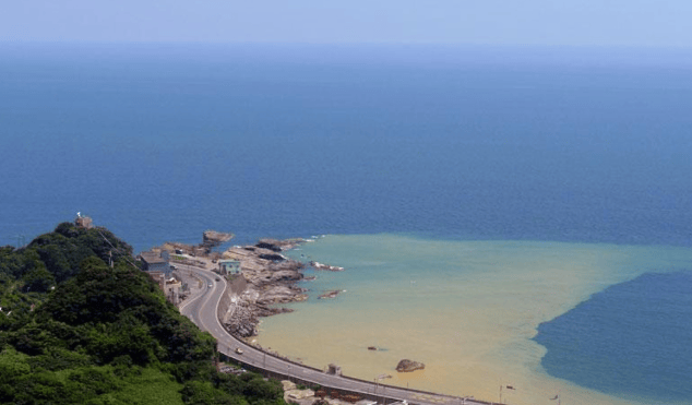 美专家意见罕见统一：一旦中方收回台湾<strong></p>
<p>实时行情虚拟币</strong>，美国或只剩一条路可走