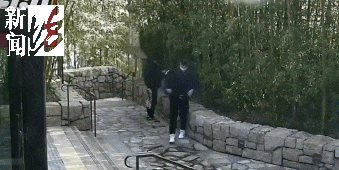 太猖狂！事发上海迪士尼<strong></p>
<p>国外虚拟币交易中心</strong>，7人被刑拘