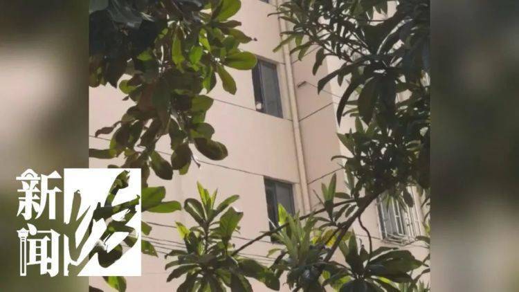 被折磨到崩溃！上海一九旬老太每天定时“输出”<strong></p>
<p>虚拟币交易平台怎么玩</strong>，邻居被迫“魔法打魔法”
