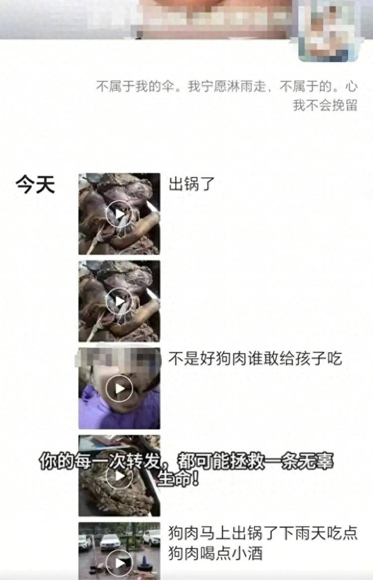 沈阳一店铺老板假借领养名义烹食流浪狗<strong></p>
<p>tnt虚拟币团队</strong>，警方：正在研讨处置