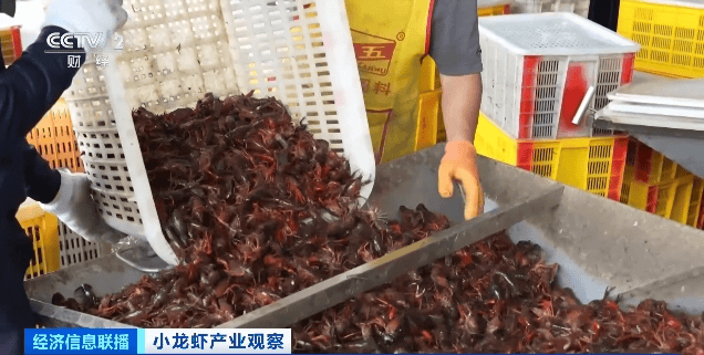 价格暴跌近50%<strong></p>
<p>如何建设虚拟币矿池</strong>！“接下来还会降”！青岛正大量上市……