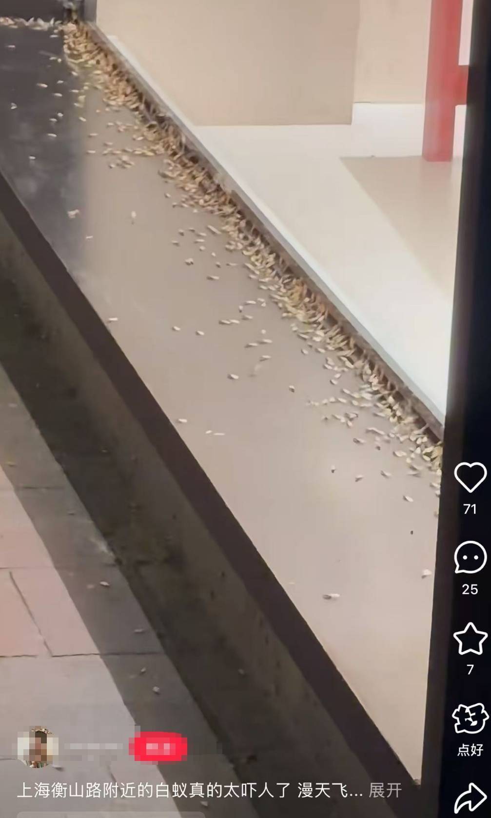 紧急提醒：瞬间爆发！上海市民崩溃：密密麻麻<strong></p>
<p>网上各种虚拟币</strong>，蠕蠕爬行...“梧桐区”已开始战斗，白蚁或提前分飞
