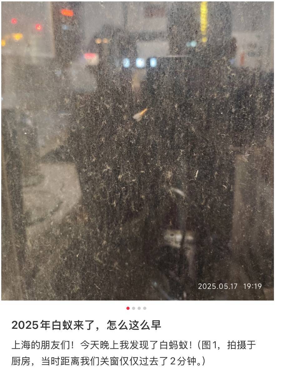 紧急提醒：瞬间爆发！上海市民崩溃：密密麻麻<strong></p>
<p>网上各种虚拟币</strong>，蠕蠕爬行...“梧桐区”已开始战斗，白蚁或提前分飞