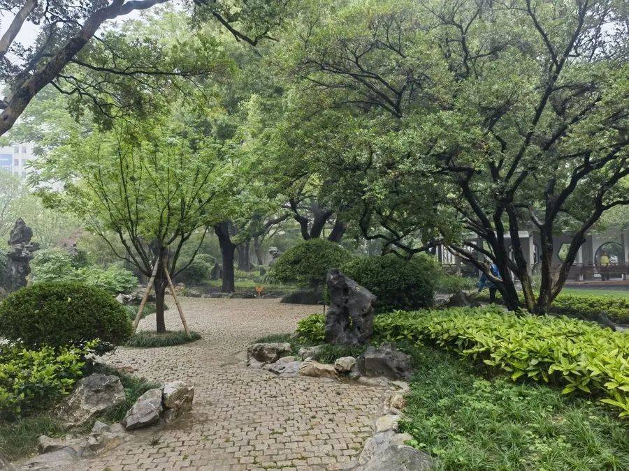 紧急提醒：瞬间爆发！上海市民崩溃：密密麻麻<strong></p>
<p>网上各种虚拟币</strong>，蠕蠕爬行...“梧桐区”已开始战斗，白蚁或提前分飞