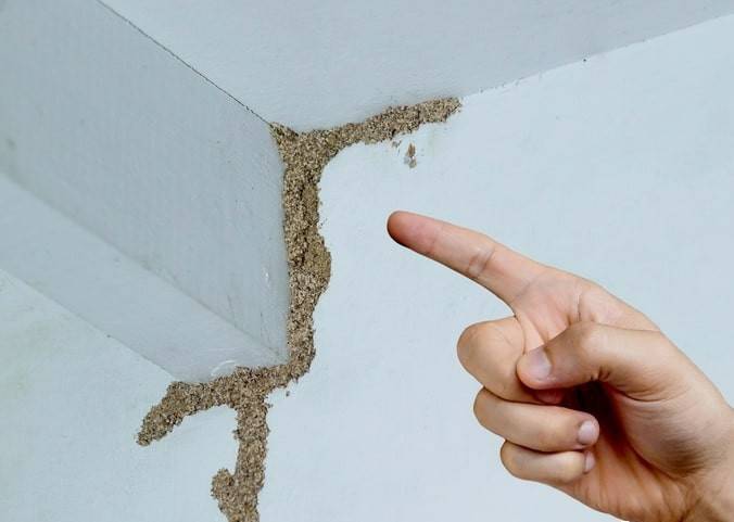 紧急提醒：瞬间爆发！上海市民崩溃：密密麻麻<strong></p>
<p>网上各种虚拟币</strong>，蠕蠕爬行...“梧桐区”已开始战斗，白蚁或提前分飞