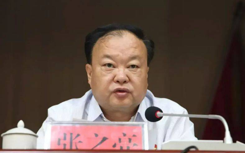 中央提级巡视期间<strong></p>
<p>怎么用虚拟币赚钱软件</strong>，已降级、退休的张之亮，官宣落马！