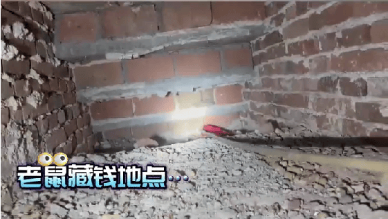 老人用红袜子包裹一万元现金藏在门框上<strong></p>
<p>虚拟币挖矿活动</strong>，一天后不翼而飞，警方破案：偷钱的是老鼠