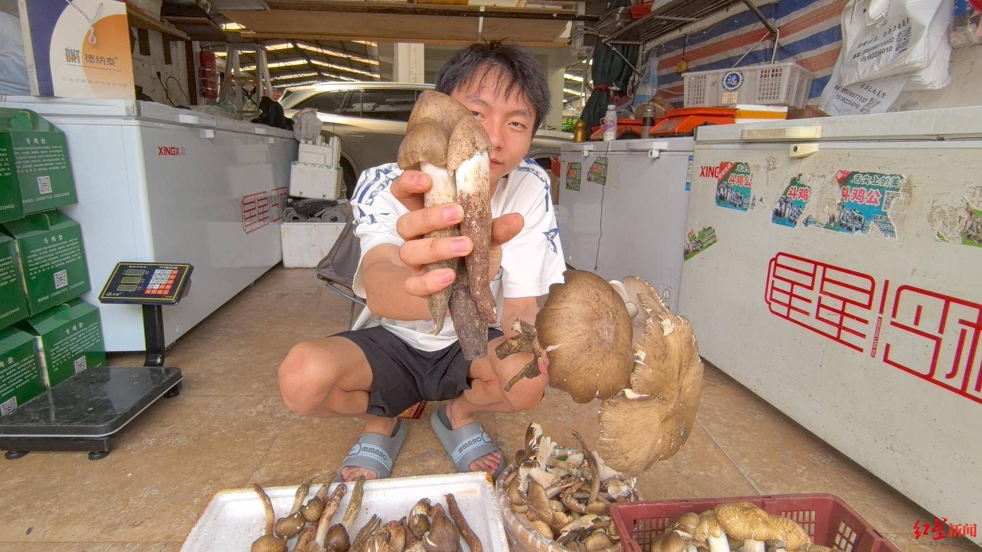 “天价”鸡枞调查：最贵卖到1800元/公斤！雨水少致产量低<strong></p>
<p>海外虚拟币交易所</strong>，多地价高客少