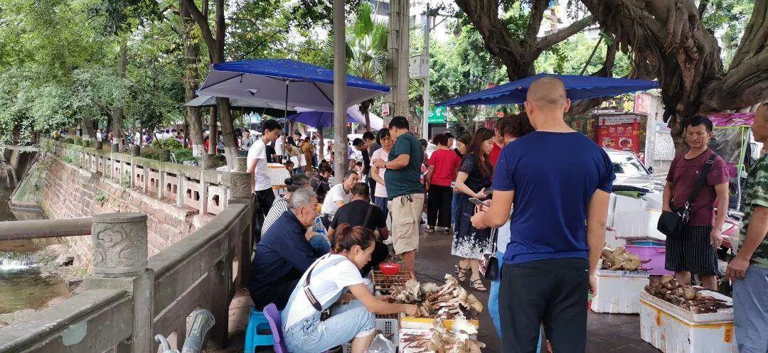 “天价”鸡枞调查：最贵卖到1800元/公斤！雨水少致产量低<strong></p>
<p>海外虚拟币交易所</strong>，多地价高客少
