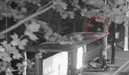 江苏一男子戴仿真“人皮”面具入室盗窃<strong></p>
<p>海外虚拟币交易所</strong>，流窜多个小区作案，涉案金额达15万余元