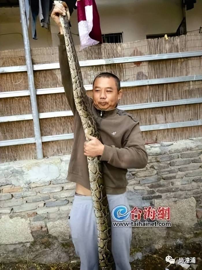 女游客疑被蛇咬伤身亡后<strong></p>
<p>key虚拟币价格</strong>，博主“啊宝”讲毒蛇1天涨粉190万