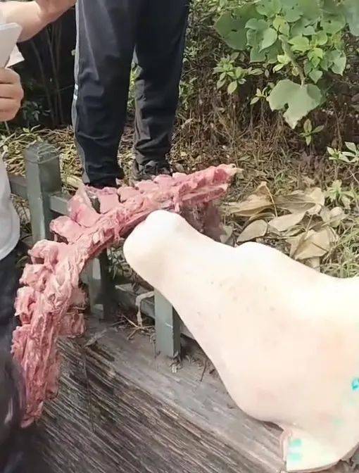 四川一小学食堂被举报使用劣质肉<strong></p>
<p>icb虚拟币</strong>，市监局：已封存并抽样检测
