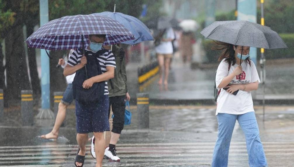 济南将迎大范围降雨<strong></p>
<p>假如虚拟币崩盘</strong>！雷雨时阵风8～10级！最新预报来了→