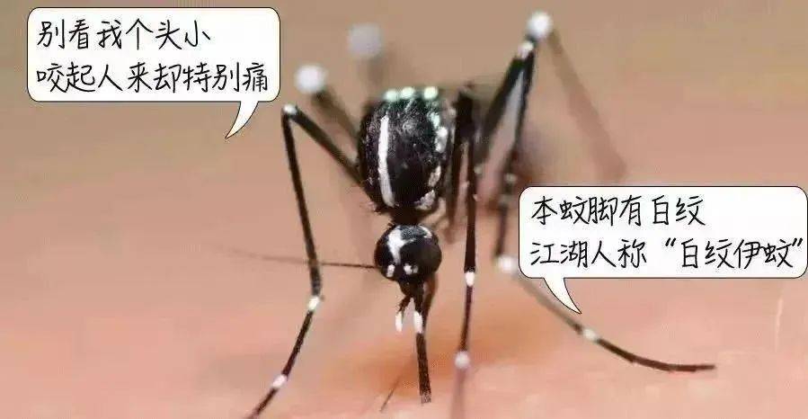 风险增大<strong></p>
<p>广州虚拟币公司</strong>！深圳疾控：去这247处要小心！张文宏首次发声