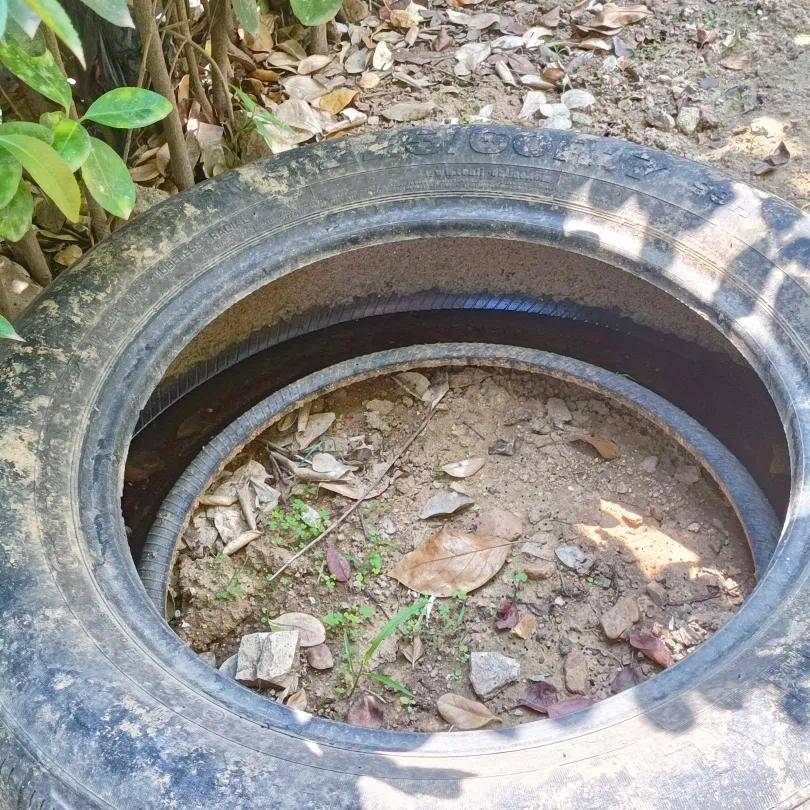 青岛疾控最新提醒：全民行动<strong></p>
<p>广州虚拟币公司</strong>！翻盆倒罐、清除积水！