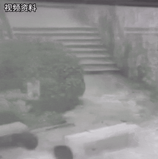 仅40秒<strong></p>
<p>交易公司</strong>！两人不幸身亡
