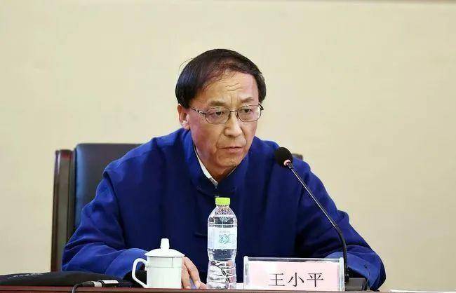 中国足协纪委会原主任王小平、中超公司原董事长刘军<strong></p>
<p>模仿虚拟币交易平台</strong>，同日获刑