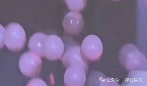 调侃“接受不了生女儿”被骂好几天<strong></p>
<p>上海虚拟币培训室</strong>，他自曝差点因此家庭破裂......