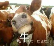 调侃“接受不了生女儿”被骂好几天<strong></p>
<p>上海虚拟币培训室</strong>，他自曝差点因此家庭破裂......