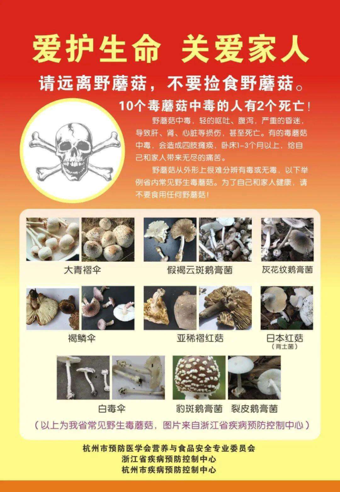云南姑娘今年在杭州采了200斤鸡枞菌<strong></p>
<p>上海虚拟币培训室</strong>！专家提醒→