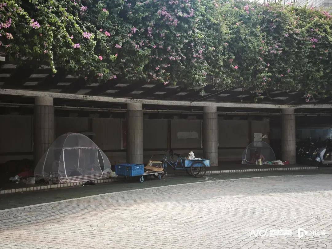 全民灭蚊总动员<strong></p>
<p>上海虚拟币培训室</strong>，大广东给我们上了一课