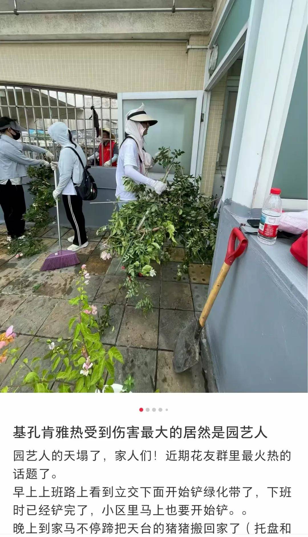 全民灭蚊总动员<strong></p>
<p>上海虚拟币培训室</strong>，大广东给我们上了一课