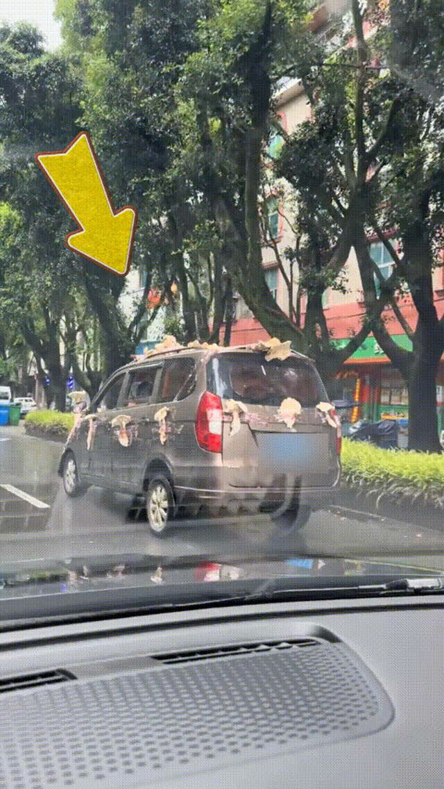 男子驾驶“鸡枞战车”满街跑<strong></p>
<p>上海虚拟币培训室</strong>，交警紧急叫停！