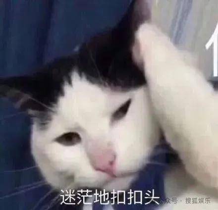 离婚三年又被拍到亲密逛超市<strong></p>
<p>虚拟币公司倒闭了吗</strong>，他俩这是纯带娃还是真复合了？