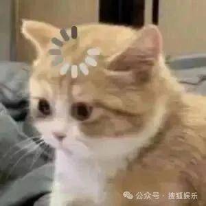 离婚三年又被拍到亲密逛超市<strong></p>
<p>虚拟币公司倒闭了吗</strong>，他俩这是纯带娃还是真复合了？
