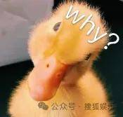 从爆红到突然消失好几年<strong></p>
<p>虚拟币国内还能交易吗</strong>，再出现已经胖到大家不敢认了？