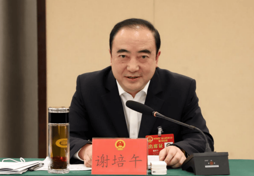 中央巡视期间<strong></p>
<p>虚拟币委托交易规则</strong>，谢培午被查