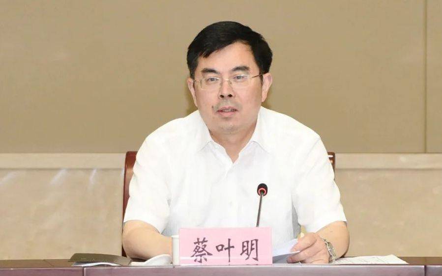 蔡叶明<strong></p>
<p>哪种虚拟币更有增值空间</strong>，官宣落马