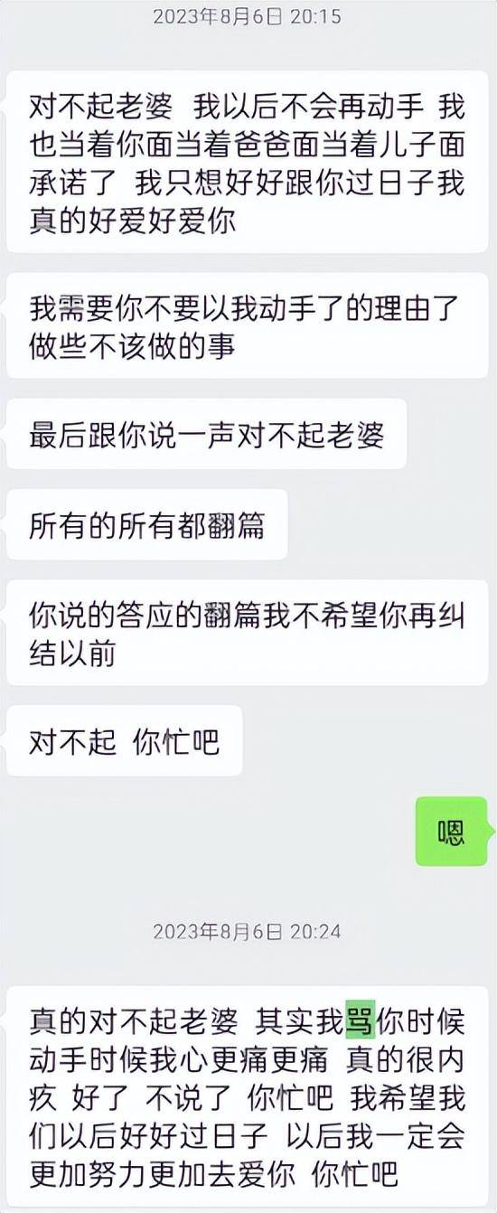 “儿子备考的大学需政审<strong></p>
<p>remme</strong>，母亲怕影响孩子默默忍受家暴”？当事女子回应：事实有出入