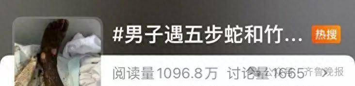 安徽宣城一男子走路玩手机<strong></p>
<p>remme</strong>，一脚踩中打架的竹叶青和五步蛇，被俩毒蛇咬3口！医院：暂无生命危险，正在治疗