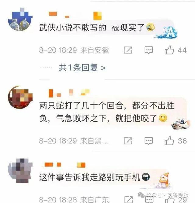 安徽宣城一男子走路玩手机<strong></p>
<p>remme</strong>，一脚踩中打架的竹叶青和五步蛇，被俩毒蛇咬3口！医院：暂无生命危险，正在治疗