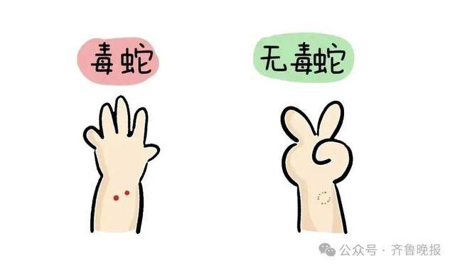 安徽宣城一男子走路玩手机<strong></p>
<p>remme</strong>，一脚踩中打架的竹叶青和五步蛇，被俩毒蛇咬3口！医院：暂无生命危险，正在治疗
