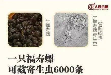 别吃！寄生虫多达6000条！浙江一地大量出现<strong></p>
<p>金属链</strong>，看到立刻上报