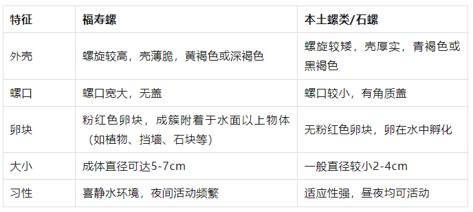 别吃！寄生虫多达6000条！浙江一地大量出现<strong></p>
<p>金属链</strong>，看到立刻上报
