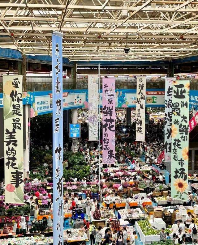 七夕不送玫瑰改送花菜<strong></p>
<p>虚拟币涨速软件</strong>！这一届年轻人“反套路”重新定义浪漫