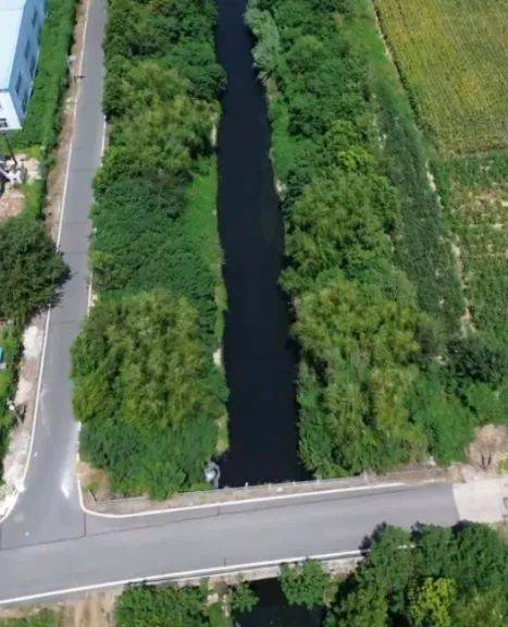 去年整改过的“黑水河”<strong></p>
<p>虚拟币涨速软件</strong>，今年怎么又黑了？ | 新京报快评