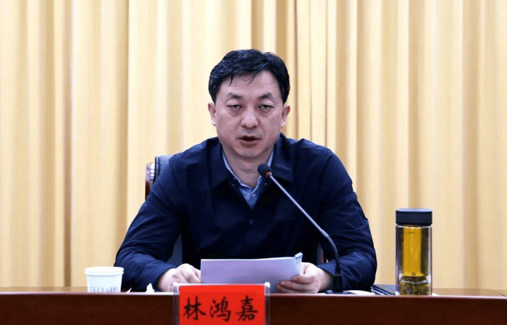 鹤壁市常务副市长林鸿嘉<strong></p>
<p>人工智能虚拟现实币</strong>，被罢免市人大代表职务