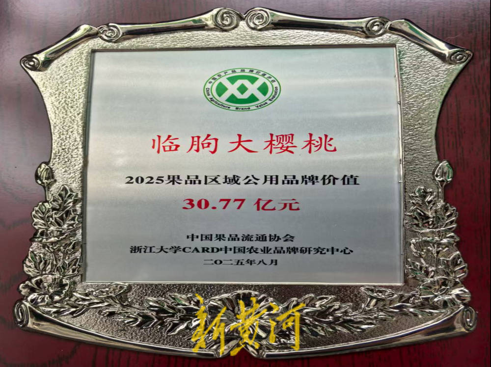 潍坊临朐：30.77 亿元<strong></p>
<p>人工智能虚拟现实币</strong>！“红玛瑙”大樱桃何以成乡村振兴“甜蜜引擎”