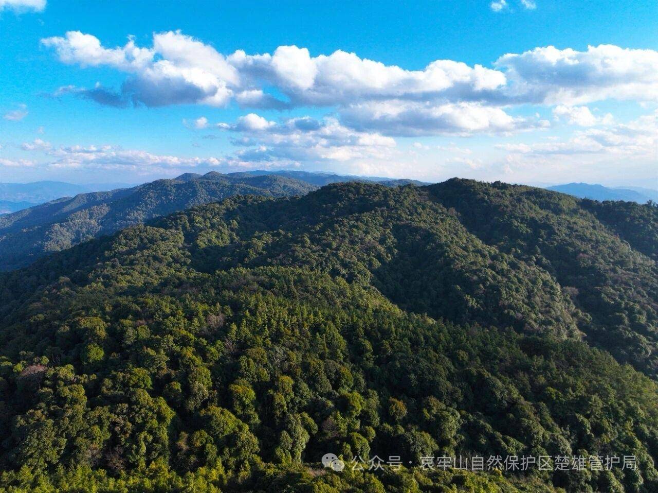云南哀牢山新规出台：禁止任何单位和个人擅入哀牢山自然保护区<strong></p>
<p>股票</strong>，从事科研活动须报批