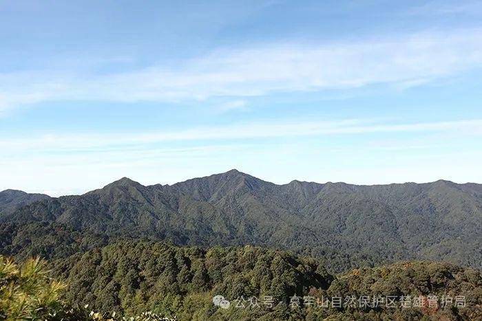 云南哀牢山新规出台：禁止任何单位和个人擅入哀牢山自然保护区<strong></p>
<p>股票</strong>，从事科研活动须报批