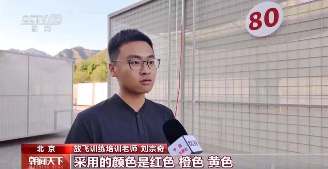 明天将放飞8万羽和平鸽、8万只气球<strong></p>
<p>股票</strong>，揭秘！