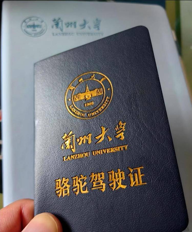 一人一驼<strong></p>
<p>股票</strong>，骆驼尾气排放超标要扣分？兰大回应学生持证骑骆驼上学：骆驼驾驶证为学校文创，非官方证件