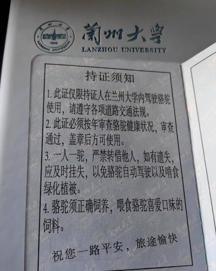 一人一驼<strong></p>
<p>股票</strong>，骆驼尾气排放超标要扣分？兰大回应学生持证骑骆驼上学：骆驼驾驶证为学校文创，非官方证件
