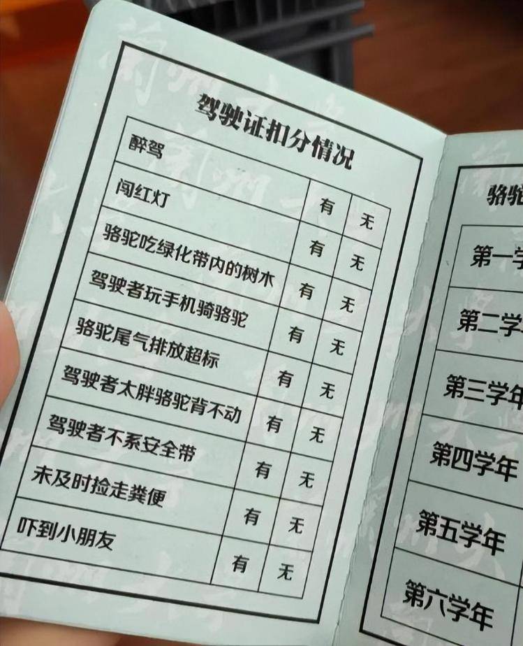 一人一驼<strong></p>
<p>股票</strong>，骆驼尾气排放超标要扣分？兰大回应学生持证骑骆驼上学：骆驼驾驶证为学校文创，非官方证件