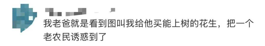 “花生上树”闹剧：AI翻车背后<strong></p>
<p>知乎</strong>，我们都在弄丢常识？