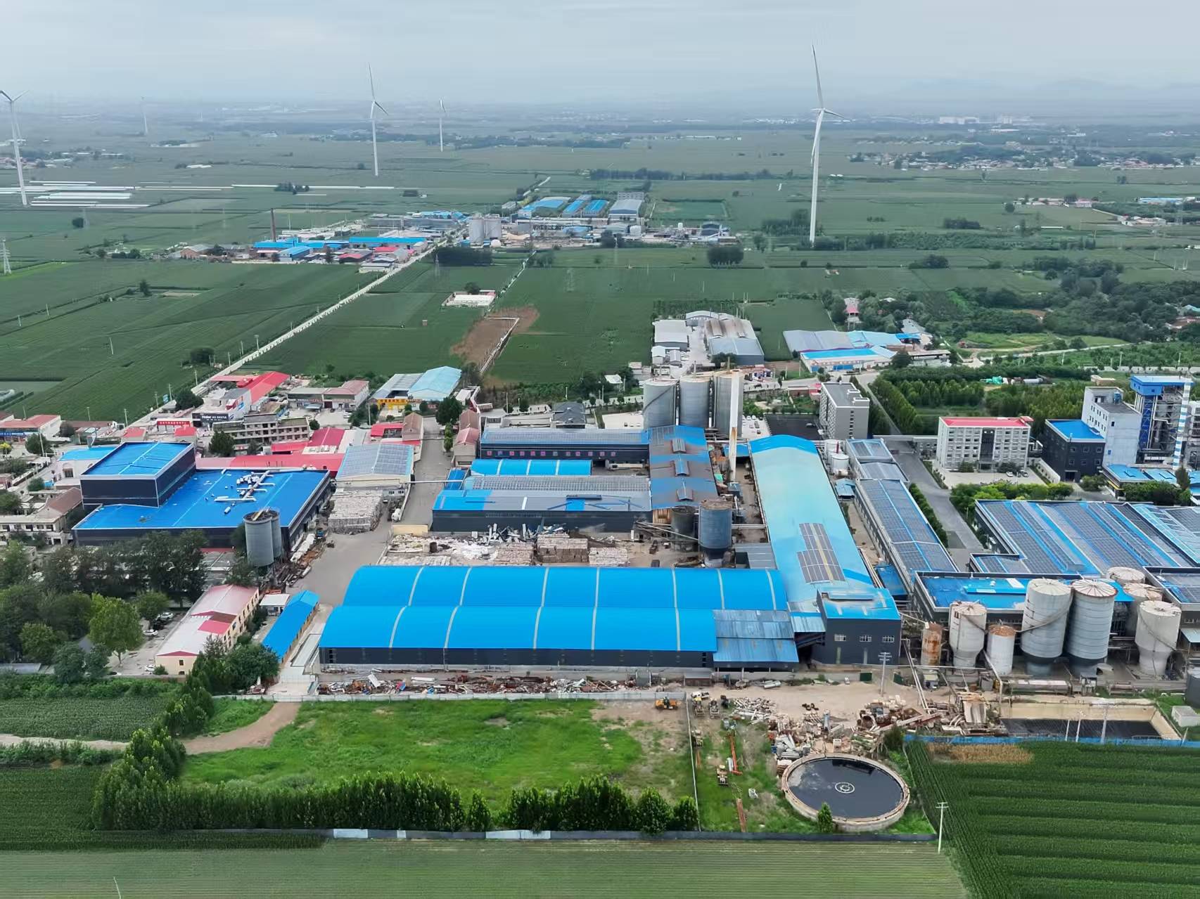 河北柏乡:造纸厂污水外排大片农作物致死引关注<strong></p>
<p>虚拟币板块股票</strong>！